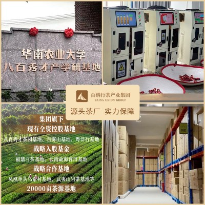 2023年新茶特产春茶浓香型送礼批发散装茶叶英德红茶英红九号图2