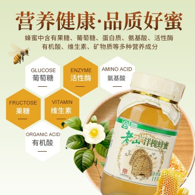 蜂蜜批发绿色食品老山洋槐蜂蜜1kg槐花野生土蜂蜜正品现货批发图4