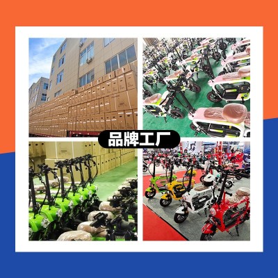 锂电池电动车迷你亲子代步车宠物电动自行车小型电动车母子电瓶车图5