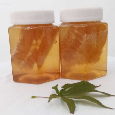 厂家直供百杂花洋槐封盖蜂巢蜜瓶装500g图2