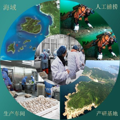 工厂批发多春鱼满籽新鲜活即食多子鱼多籽鱼鱼籽海鲜水产烧烤食材图2
