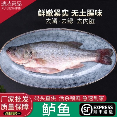 厂家直供鲜活现杀鲈鱼花鲈三去新鲜淡水鲈鱼300g真空包装顺丰冷链图4