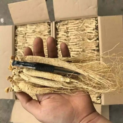 长白山人参 整根原皮生晒参白参 煲汤干人参熬夜水小干参产地批发图4