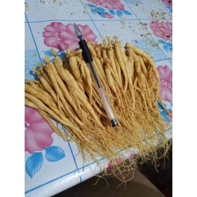 长白山人参 酒瓶酒杯专用泡酒鲜参小保鲜参 抚松产地发货特价批发图2