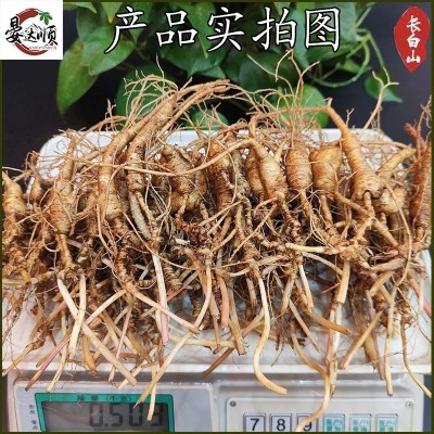 批发人参长白山野山参30年新鲜林下参泡酒煲汤林下参籽货顺丰包邮图3