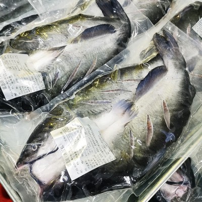 新鲜开背清江鱼活鱼冷冻商用烤鱼半成品鲜活腌制整条700g-1100g图2
