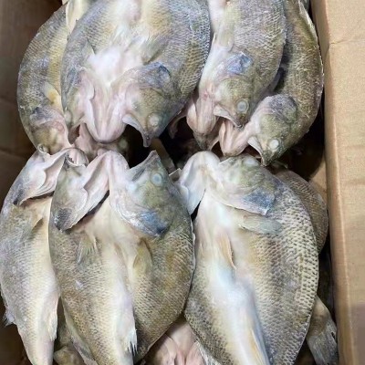 新鲜海鲈鱼开背冷冻大鲈鱼鲜活商用七星深海清蒸鲈鱼纸包鱼批发图3