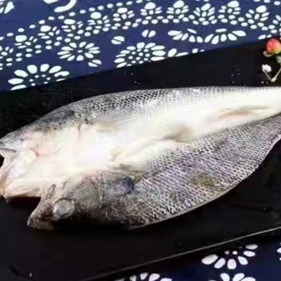 新鲜海鲈鱼开背冷冻大鲈鱼鲜活商用七星深海清蒸鲈鱼纸包鱼批发图4