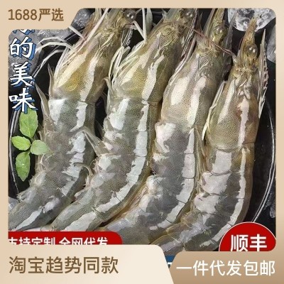 青岛大虾超大青虾鲜活速冻基围虾新鲜冷冻白虾对虾海水虾商 用批发
