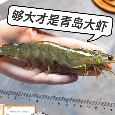 青岛大虾超大青虾鲜活速冻基围虾新鲜冷冻白虾对虾海水虾商 用批发图4