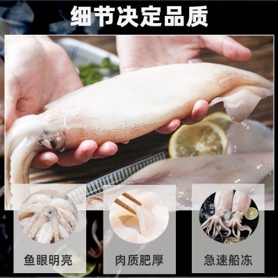 超大鱿鱼鲜活冷冻鱿鱼新鲜尤鱼整只海捕船冻烧烤铁板商用海鲜水产图2