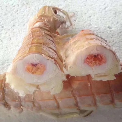 泰虾泰国巨型皮皮虾鲜活超大特大虾爬子虾婆虾姑冷冻濑尿虾富贵虾图2