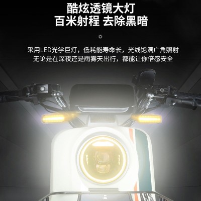 新国标电动车轻摩动力小电驴锂电瓶车代步长跑王电动车外卖电动车图2