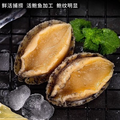 新鲜冷冻大鲍鱼肉500g海鲜水产鲜活去壳小鲍鱼捞汁佛跳墙食材商用图2