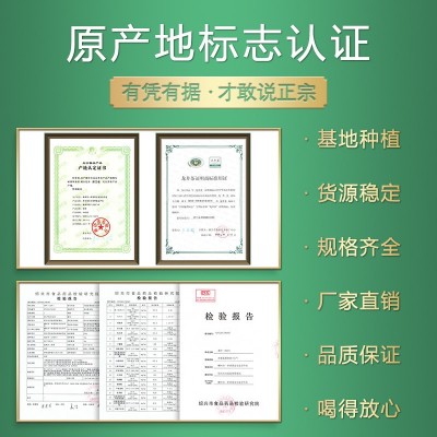 一杯香厂家批发2023新茶雨前龙井茶绿茶春茶越乡龙井大佛散 装茶叶图3