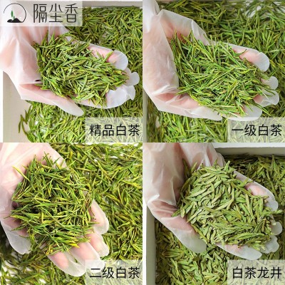 2023新茶黄金芽毛峰绿茶批发茶叶安吉散装厂家明前高山凤型 白茶图3