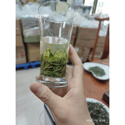 2023新茶信阳毛尖茶 明前嫩芽手工春茶浓香绿茶散装500g图3