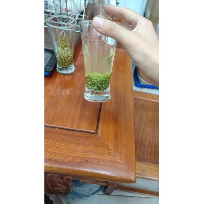 明前小米芽  500克  毛尖绿茶信阳图2