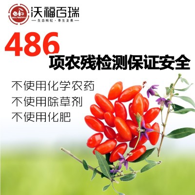 沃福百瑞宁夏中宁枸杞免洗干嚼罐装无农残苟杞子210g工厂直供货源2件起批图3