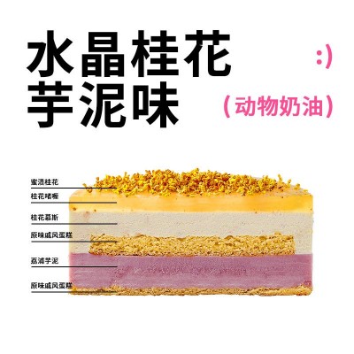 2023新品罐子蛋糕动物奶油蛋糕盒子慕斯蛋糕提拉米苏零食网 红甜品图4