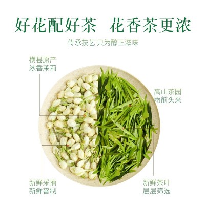 干茉莉花茶特级浓香茉莉花茶包网红冷泡茶广西横县茉莉花茶叶批发图2