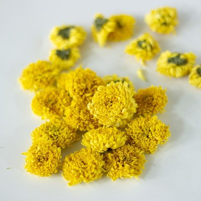 大量批发婺源皇菊厂家直发新花徽州皇菊菊花茶乒乓球菊球菊图3