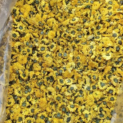 散装婺源皇菊菊花茶 黄菊花 黄菊 乒乓球菊球菊一朵一杯大批有货图3