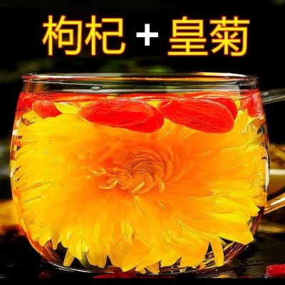 大菊花枸杞茶金丝黄菊枸杞茶独立包装金丝黄菊一朵一杯枸杞