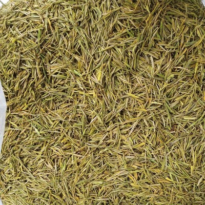 半斤装250克正宗安吉黄金茶 安吉白茶黄金芽黄金叶茶 黄金白茶图3