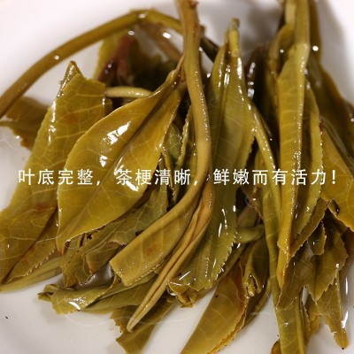 2019年易武铜箐河普洱生茶散装 兰花密香 新茶 批发 现货包邮图4