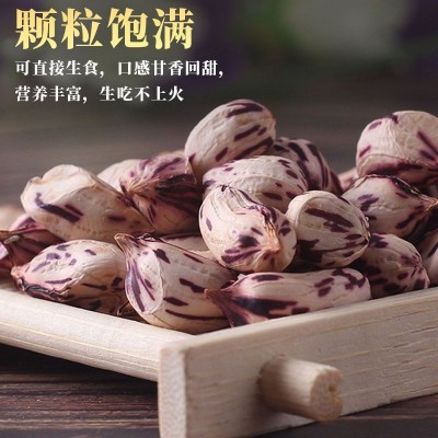 七彩花生五彩花生米去壳新货云南特产七彩野地新鲜花生米零食批发图3