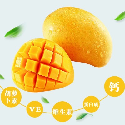 芒果干零食100g泰国风味蜜饯水果干果脯小包装无添加休闲办公食品图3