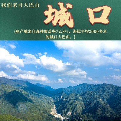 重庆巴渝印象城口五花腊肉250g重庆四川特产烟熏正宗熏肉咸肉图3