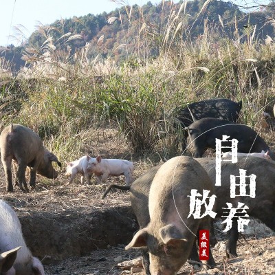 美缀美土猪川味香肠500g四川特产麻辣味腊肠农家自制手工腊味批发图4