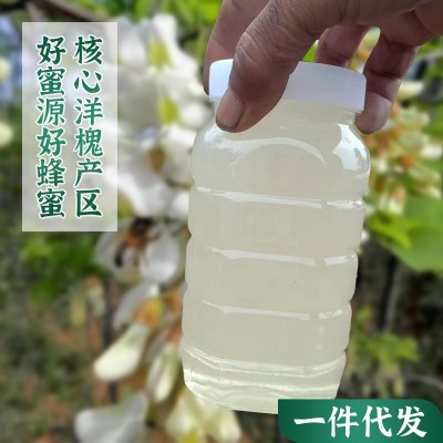 洋槐蜂蜜1000克一瓶装厂价现货农家洋槐峰蜜自产蜂蜜洋槐花蜂蜜批