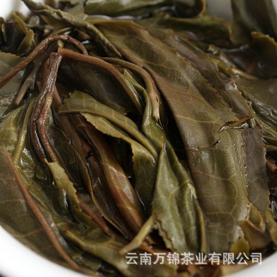 现货批发云南 景迈古茶357g生茶饼 老树大树乔木普洱茶 七子饼茶图5
