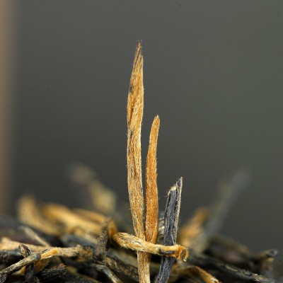 云南滇红茶红茶2022滇红茶松针一芽二叶 58原料 500g批发图4