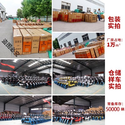 飞鸽电动车新国标小蜜豆电瓶车48V锂电瓶车双人车电动可开专票图3