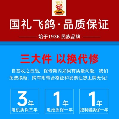 飞鸽电动车新国标小蜜豆电瓶车48V锂电瓶车双人车电动可开专票图4