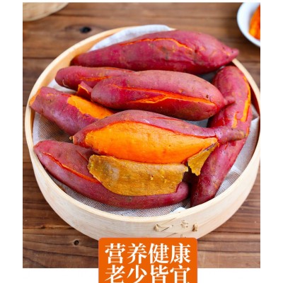 2023新果烟薯25号流油杂粮番薯蜜薯红薯紫薯鲜板栗烤地瓜专用批发图3