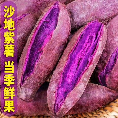 2023新果烟薯25号流油杂粮番薯蜜薯红薯紫薯鲜板栗烤地瓜专用批发图4