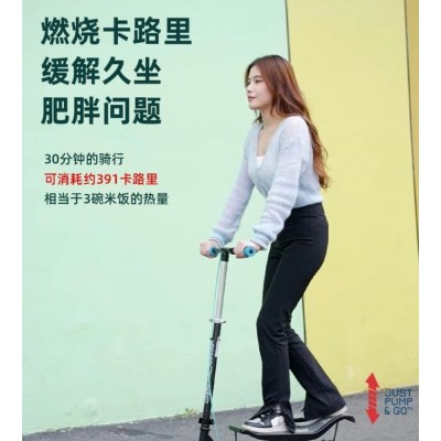 太空滑板车Space ScooterX560非电动两轮脚踏板车健身车自行车图3