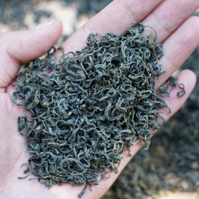 浙江丽水高山绿茶新茶 浓豆香 松阳龙井香茶 茶叶批发图2