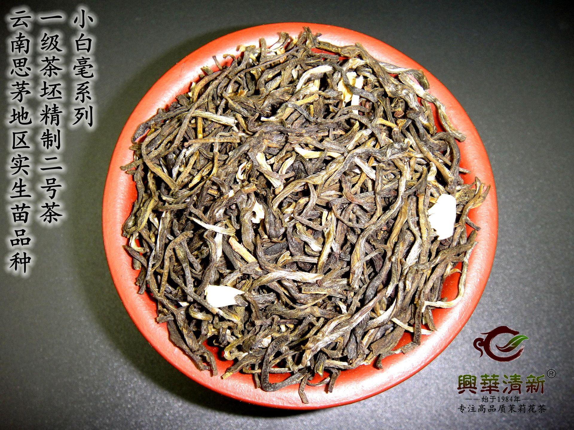 DSC08541_副本翠芽