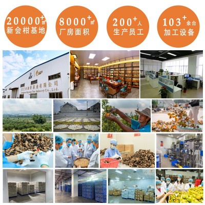 现货代批发新会天马陈皮柑茶生晒小青柑普洱熟茶500g礼盒 装小青柑图3