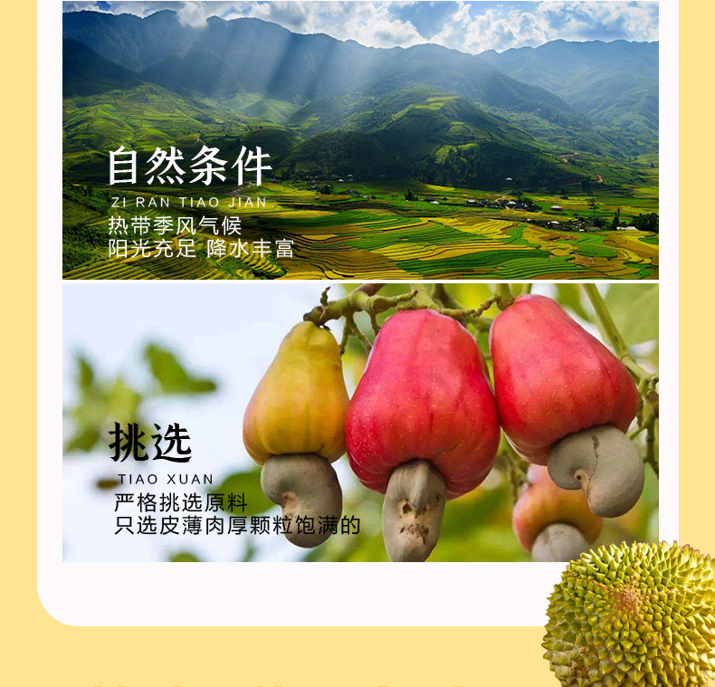 榴莲腰果_04