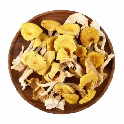 云南特产鸡油菌干蘑菇鸡油菌黄丝菌食用菌榆黄菇干货厂家直销图4