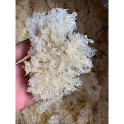 云南厂家本草银耳免煮即食银耳 免洗现货批发源头厂家直销图3