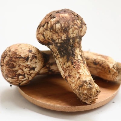 新鲜松茸云南香格里拉新鲜松茸生鲜未开伞松茸送礼顺丰包邮代发图5