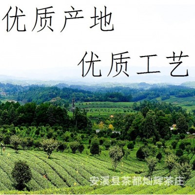 四季春茶奶茶店专用商用茶叶四季青茶四季乌龙水果茶乌龙奶茶基茶图3